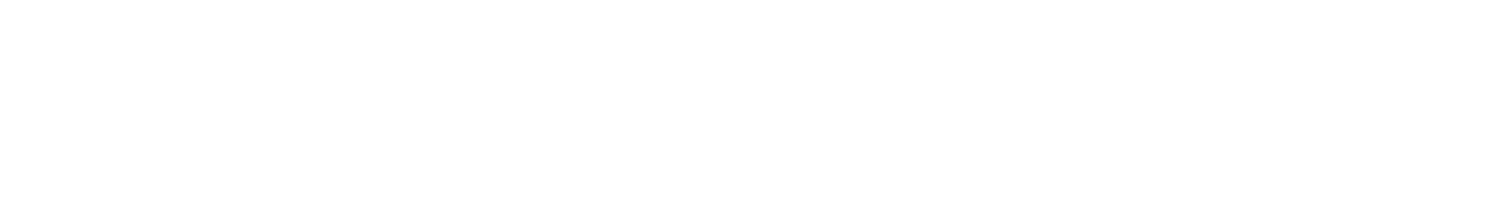 AraCom IT Services AG
